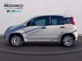 Fiat Panda 1.2 Easy 69cv - OK NEOPATENTATI Beige - thumbnail 3