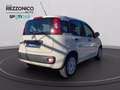 Fiat Panda 1.2 Easy 69cv - OK NEOPATENTATI Beige - thumbnail 4