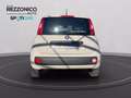 Fiat Panda 1.2 Easy 69cv - OK NEOPATENTATI Beige - thumbnail 5