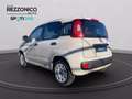 Fiat Panda 1.2 Easy 69cv - OK NEOPATENTATI Beige - thumbnail 10