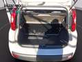 Fiat Panda 1.2 Easy 69cv - OK NEOPATENTATI Beige - thumbnail 9