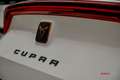 CUPRA Formentor 1.4 e-Hybrid l Blanc - thumbnail 17