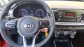 Kia Rio 1.4 crdi Cool 90cv Rosso - thumbnail 7