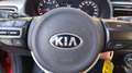 Kia Rio 1.4 crdi Cool 90cv Rosso - thumbnail 14