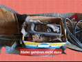 Ford Taunus 1.- Hand 1,6L Oldtimer 50ig Jahre Jung Rot - thumbnail 7