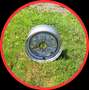 Ford Taunus 1.- Hand 1,6L Oldtimer 50ig Jahre Jung Rot - thumbnail 21