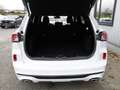Ford Kuga ST-Line X Plug-in-Hybrid Auto+LED+Navi+TWA Klima Weiß - thumbnail 9