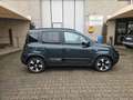 Fiat Panda 1.0 HYBRID 70 CV PANDINA CROSS Verde - thumbnail 7