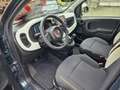 Fiat Panda 1.0 HYBRID 70 CV PANDINA CROSS Verde - thumbnail 11
