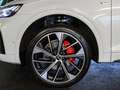 Audi Q5 40 TDI qu S line edition one Pano Weiß - thumbnail 10