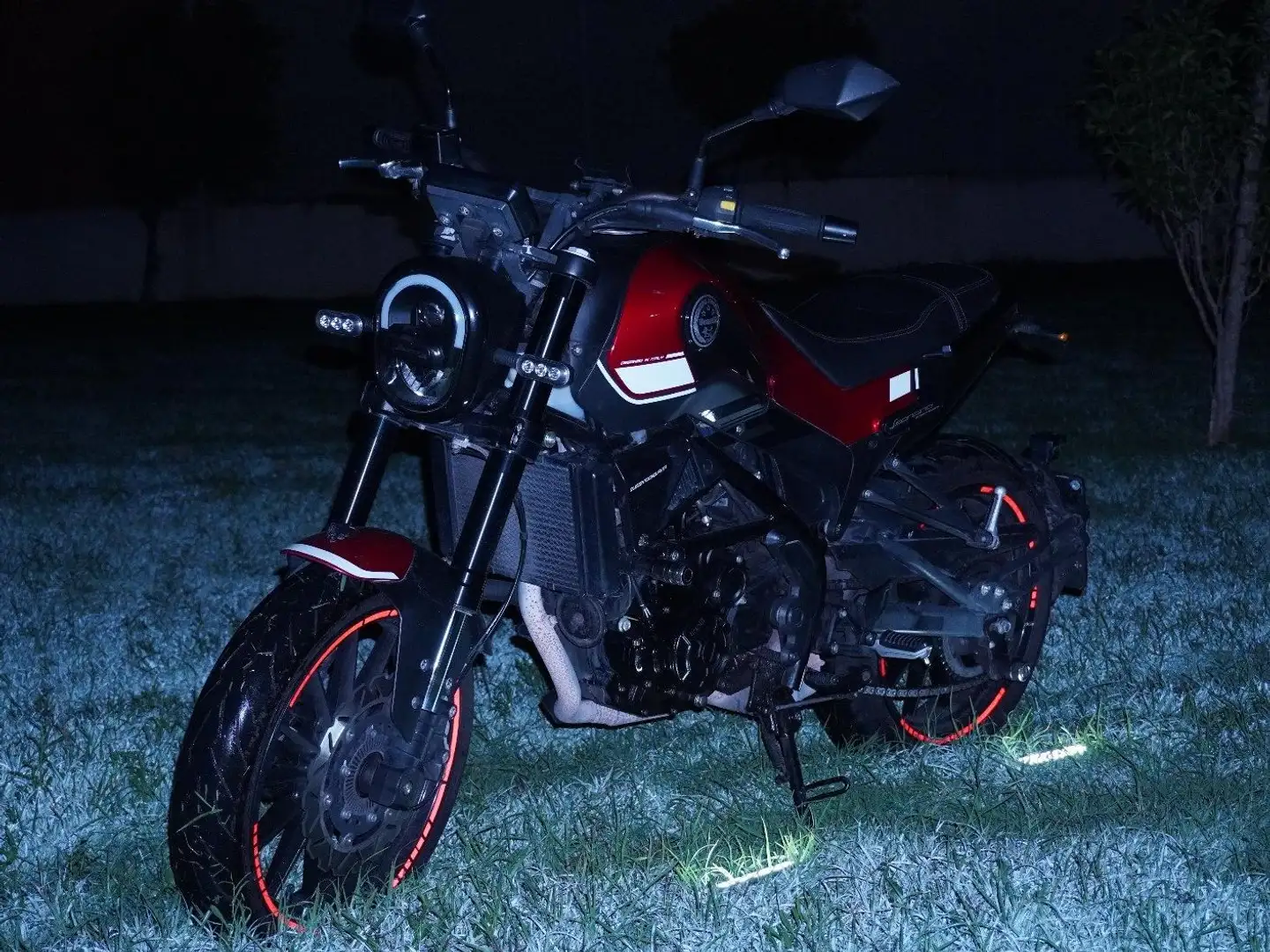 Benelli Leoncino Rosso - 1