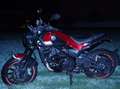 Benelli Leoncino Rosso - thumbnail 2