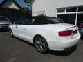 Audi A5 Cabriolet 2.0 TDI Weiß - thumbnail 4
