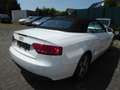 Audi A5 Cabriolet 2.0 TDI Weiß - thumbnail 6