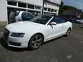 Audi A5 Cabriolet 2.0 TDI Weiß - thumbnail 3