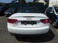 Audi A5 Cabriolet 2.0 TDI Weiß - thumbnail 5