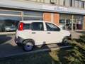 Fiat Panda VAN 1.2 easypower Pop Gpl 69cv Euro6B Blanco - thumbnail 4