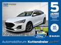 Ford Focus Turnier ST-Line Style Navi Kamera LED SHZ Blanc - thumbnail 1