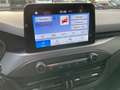 Ford Focus Turnier ST-Line Style Navi Kamera LED SHZ Blanc - thumbnail 9