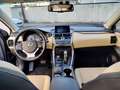 Lexus NX 300 NX Hybrid 4WD Luxury Nero - thumbnail 10