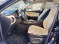 Lexus NX 300 NX Hybrid 4WD Luxury Noir - thumbnail 8