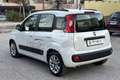 Fiat Panda Panda 1.2 Easy Bianco - thumbnail 7