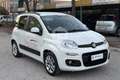 Fiat Panda Panda 1.2 Easy Bianco - thumbnail 3