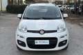 Fiat Panda Panda 1.2 Easy Bianco - thumbnail 2