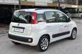 Fiat Panda Panda 1.2 Easy Bianco - thumbnail 5