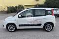 Fiat Panda Panda 1.2 Easy Bianco - thumbnail 8