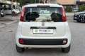 Fiat Panda Panda 1.2 Easy Bianco - thumbnail 6