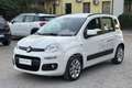 Fiat Panda Panda 1.2 Easy Bianco - thumbnail 1
