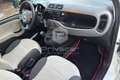 Fiat Panda Panda 1.2 Easy Bianco - thumbnail 11
