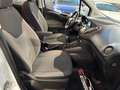 Ford Tourneo Courier 1,0 EcoBoost Trend Start/Stop Weiß - thumbnail 28