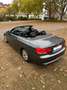 BMW 320 320i Cabrio Aut. Grün - thumbnail 15