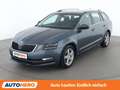 Skoda Octavia 1.0 TSI Style Grau - thumbnail 1