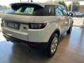 Land Rover Range Rover Evoque 2.0 TD4 180 CV 5p. Pure Weiß - thumbnail 3