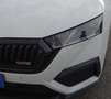 Skoda Octavia Wagon 2.0 tdi evo RS 4x4 200cv dsg Bianco - thumbnail 9