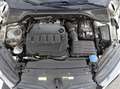 Skoda Octavia Wagon 2.0 tdi evo RS 4x4 200cv dsg Bianco - thumbnail 13