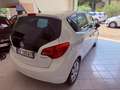 Opel Meriva Meriva II 2010 1.3 cdti ecoflex Cosmo 95cv Bianco - thumbnail 5