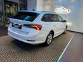 Skoda Octavia 2.0 TDI EVO SCR DSG Wagon Sportline Bianco - thumbnail 14