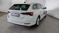 Skoda Octavia 4ª serie 2.0 TDI EVO SCR 150 CV Wagon Executive Bianco - thumbnail 6