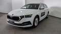 Skoda Octavia 4ª serie 2.0 TDI EVO SCR 150 CV Wagon Executive Bianco - thumbnail 7
