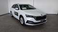 Skoda Octavia 4ª serie 2.0 TDI EVO SCR 150 CV Wagon Executive Bianco - thumbnail 1