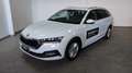 Skoda Octavia 4ª serie 2.0 TDI EVO SCR 150 CV Wagon Executive Bianco - thumbnail 5