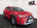 Lexus UX 300e Rouge - thumbnail 2