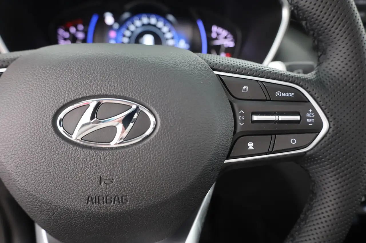 Hyundai Santa FE 2.2 CRDi 4WD LED AHK Sitzbelüftung 360°, миниатюра 18