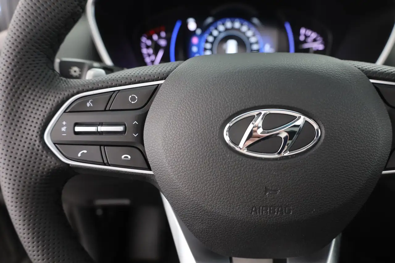 Hyundai Santa FE 2.2 CRDi 4WD LED AHK Sitzbelüftung 360°, миниатюра 17