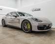 Porsche Panamera 4 E-Hybrid PHEV Platinum Edition Aut. Grau - thumbnail 1
