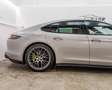 Porsche Panamera 4 E-Hybrid PHEV Platinum Edition Aut. Grau - thumbnail 11